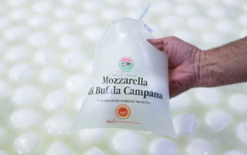 Immagine presa dal sito www.mozzarelladop.it
